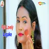 About Fair Lovely Lagake Song